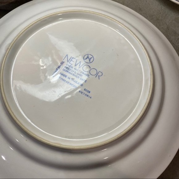 2 Vintage Newcor Blue Ribbon 6026 dinner plates - Picture 11 of 12